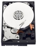 Western Digital WD Blue 500GB (WD5000AZLX) Western Digital WD Blue 500GB (WD5000AZLX)
