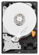 Western Digital WD Purple NV 4TB (WD4NPURX) Western Digital WD Purple NV 4TB (WD4NPURX)