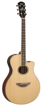 Yamaha APX 600 Yamaha APX 600