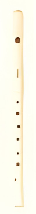 Yamaha YRF-21 Yamaha YRF-21